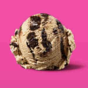 Lowest Sugar Ice Cream at Baskin Robbins - scoop 1