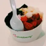 Best Low Sugar Creations at Pinkberry - Pinkberry froyo