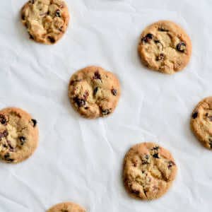 28 Low Sugar Cookies  - Only 0g-3g of Sugar Per Serving - cookies