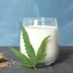 10 Hemp Milks Ranked By Sugar Content - Hemp Plant