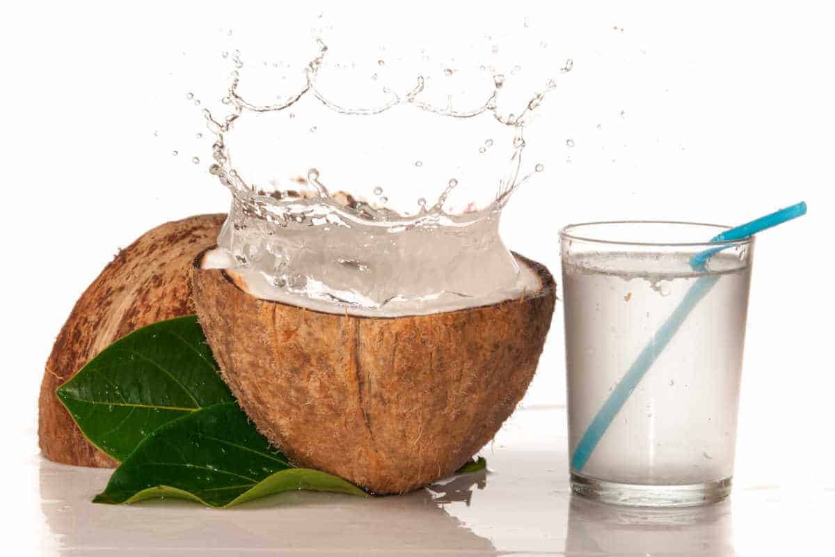 is-coconut-water-high-in-sugar-let-s-find-out-low-sugar-snax