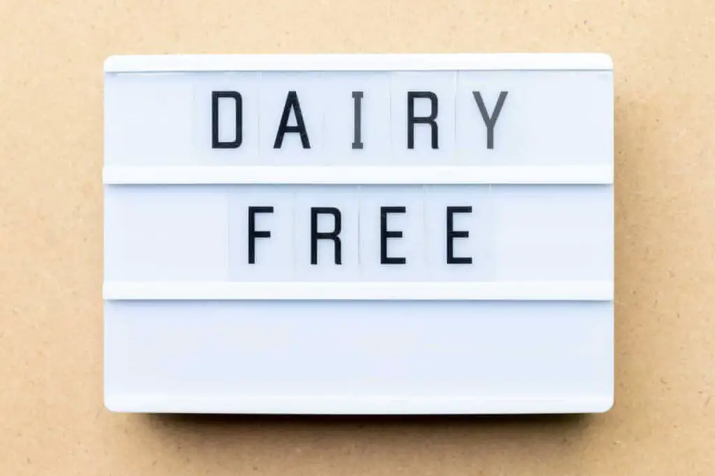 9 Best Dairy Free and Sugar Free Yogurts