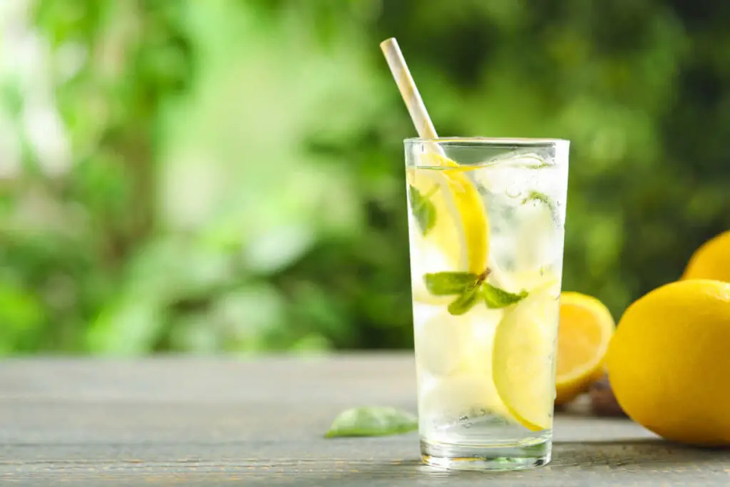 9 Zero Sugar Lemonades You Need To Cool Down With