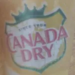 11 Sugar-Free Tonic Waters You Need To Know About - Canada Dry